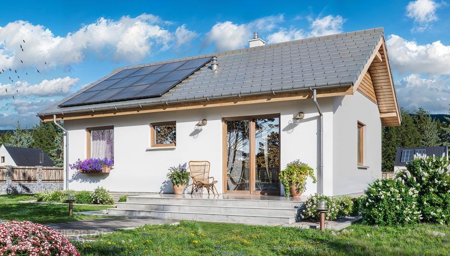 Tebe mini szkielet drewniany