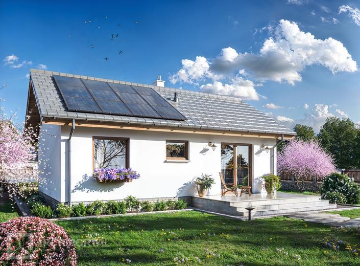 Tebe mini szkielet drewniany