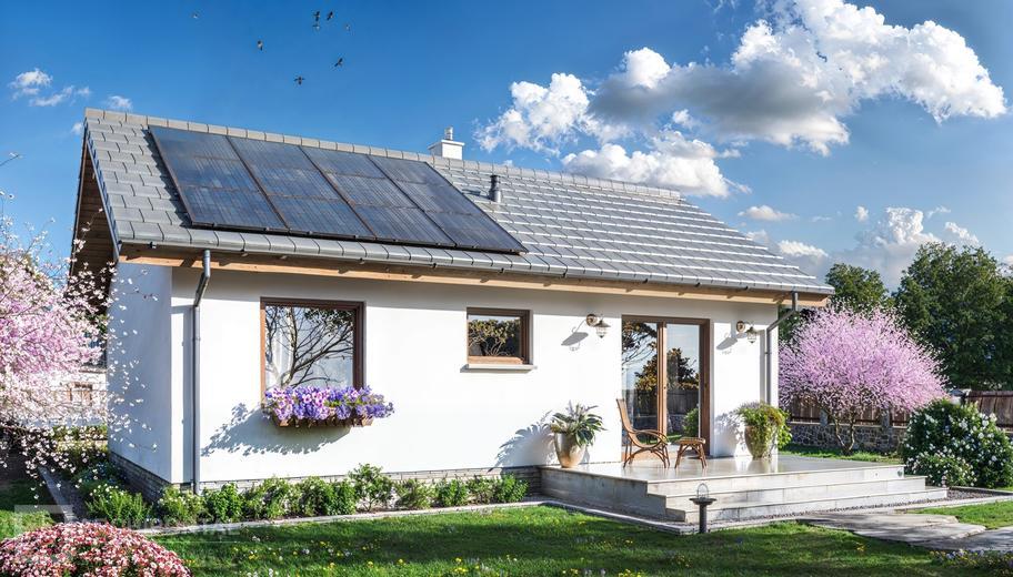 Tebe mini szkielet drewniany