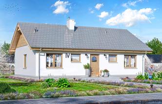 Tebe szkielet drewniany Tebe szkielet drewniany