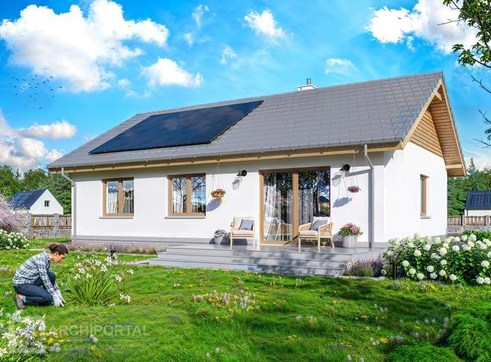 Tebe szkielet drewniany