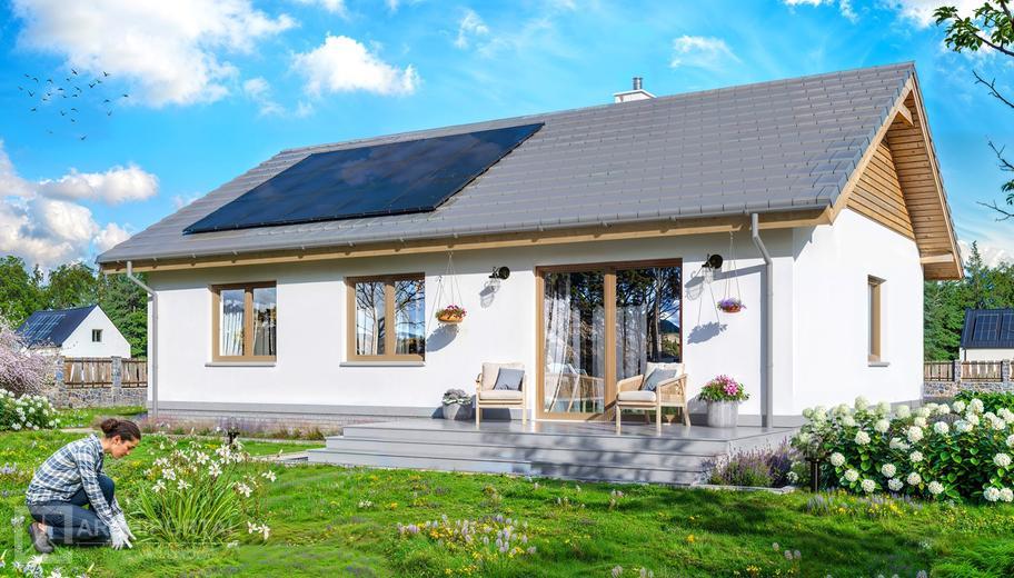 Tebe szkielet drewniany