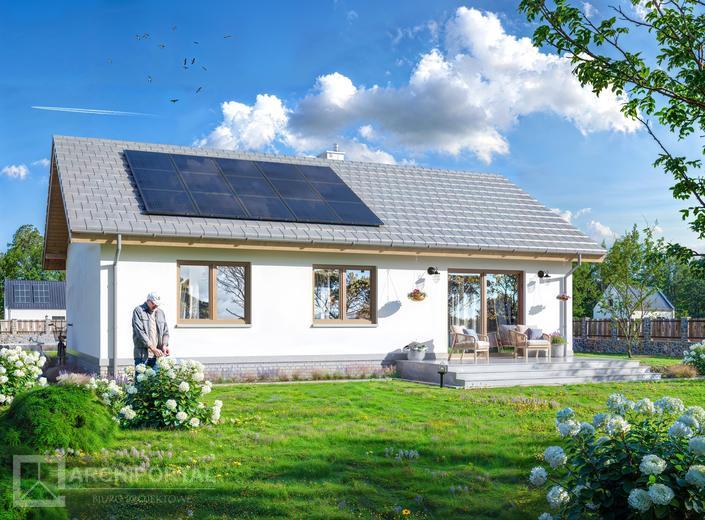 Tebe szkielet drewniany