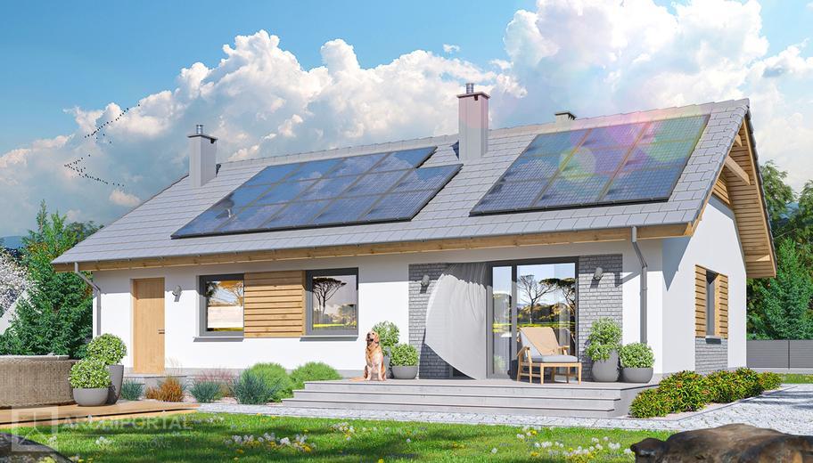 Tracja 2 szkielet drewniany