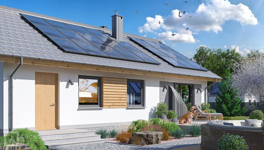 Tracja 2 szkielet drewniany