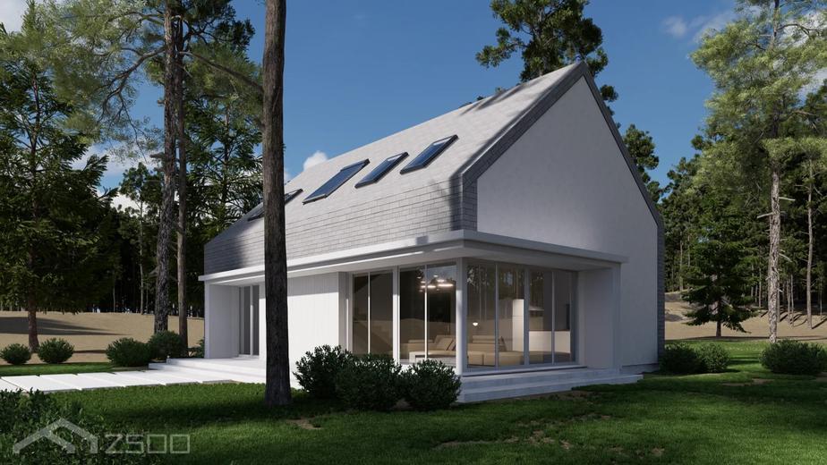 Projekt domu Z517 N