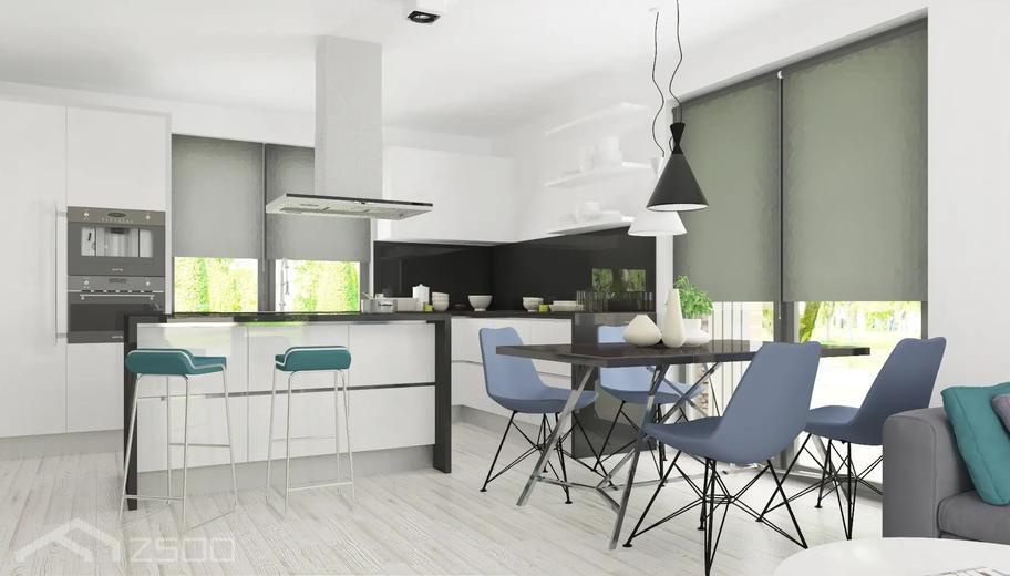 Projekt domu Zx554 D